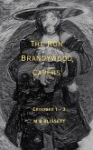 The Ron Brandywood Capers (eBook, ePUB)