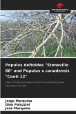 Populus deltoides "Stoneville 66" and Populus x canadensis "Conti 12"