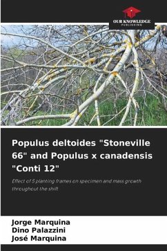 Populus deltoides 