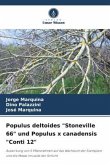 Populus deltoides "Stoneville 66" und Populus x canadensis "Conti 12"