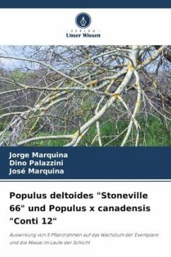 Populus deltoides 