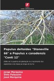Populus deltoides "Stoneville 66" e Populus x canadensis "Conti 12"