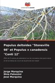 Populus deltoides "Stoneville 66" et Populus x canadensis "Conti 12"