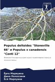 Populus deltoides "Stoneville 66" i Populus x canadensis "Conti 12"