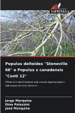 Populus deltoides &quote;Stoneville 66&quote; e Populus x canadensis &quote;Conti 12&quote;