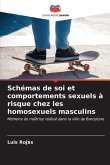 Schémas de soi et comportements sexuels à risque chez les homosexuels masculins