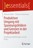 Produktiver Umgang mit Spannungsfeldern und Grenzen in der Projektarbeit (eBook, PDF)