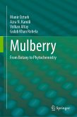 Mulberry (eBook, PDF)