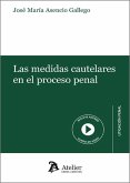 Medidas cautelares en el proceso penal Medidas cautelares en el proceso penal