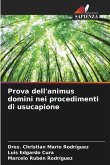 Prova dell'animus domini nei procedimenti di usucapione