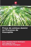 Prova do animus domini no Processo de Usucapião