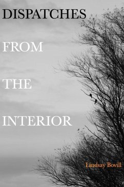 Dispatches From The Interior (eBook, ePUB) - Bovill, Lindsay