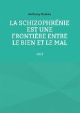 La schizophrénie est une frontière entre le bien et le mal (eBook, ePUB)