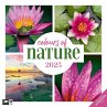 Colours of Nature Kalender 2025 - 30x30 - Bild 1