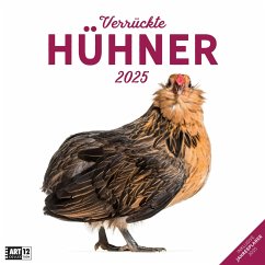 Verrückte Hühner Kalender 2025 - 30x30 - Ackermann Kunstverlag