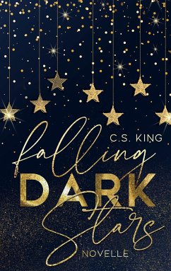 falling dark stars - King, C.S.