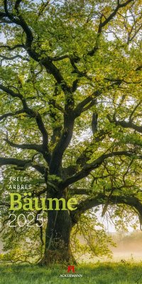 Bäume Kalender 2025 - Ackermann Kunstverlag