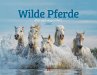 Wilde Pferde Kalender 2025 - Bild 1
