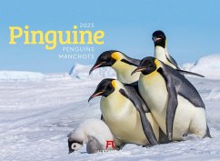 Pinguine Kalender 2025 - Ackermann Kunstverlag