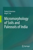 Micromorphology of Soils and Paleosols of India (eBook, PDF)