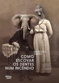 Como escovar os dentes num incêndio (eBook, ePUB)