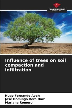 Influence of trees on soil compaction and infiltration - Ayan, Hugo Fernando;Vera Díaz, José Domingo;Romero, Mariana