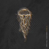 Cold Waves Divide Us (Clear Orange & Black Splatte