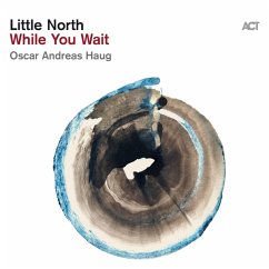 While You Wait (180g Black Vinyl) - Little North