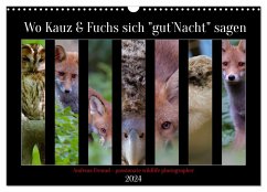 Wo Kauz & Fuchs sich &quote;gut`Nacht&quote; sagen (Wandkalender 2024 DIN A3 quer), CALVENDO Monatskalender