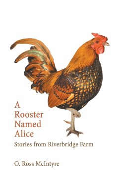 A Rooster Named Alice - McIntyre, O. Ross