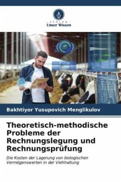 Theoretisch-methodische Probleme der Rechnungslegung und Rechnungsprüfung - Menglikulov, Bakhtiyor Yusupovich