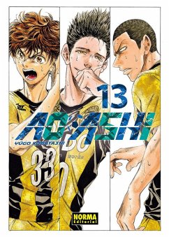 Cover AO ASHI 13