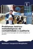Problemas teórico-metodológicos de contabilidade e auditoria