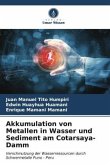 Akkumulation von Metallen in Wasser und Sediment am Cotarsaya-Damm