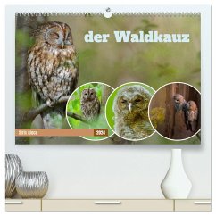 der Waldkauz - Strix Aluco (hochwertiger Premium Wandkalender 2024 DIN A2 quer), Kunstdruck in Hochglanz - Calvendo;Freund, Andreas