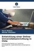 Entwicklung einer Online-Universitätseinrichtung in Chile