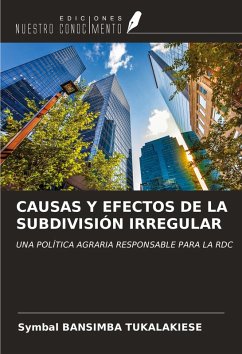 Cover CAUSAS Y EFECTOS DE LA SUBDIVISIÓN IRREGULAR