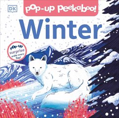 Pop-Up Peekaboo! Winter - Dk