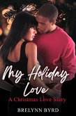 My Holiday Love (eBook, ePUB)