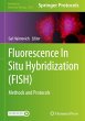 Fluorescence In Situ Hybridization... - Bild 1