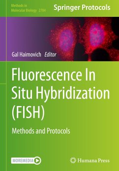 Fluorescence In Situ Hybridization (FISH)