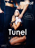 Bez Tabu 2: Tunel – seria erotyczna (eBook, ePUB)