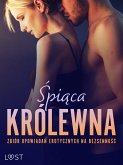 Śpiąca królewna: Zbiór opowiadań erotycznych na bezsenność (eBook, ePUB)