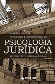 Reflexões e experiências em Psicologia Jurídica no contexto criminal/penal (eBook, ePUB)