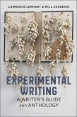 Experimental Writing (eBook, PDF)