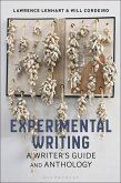Experimental Writing (eBook, ePUB)