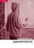 Repetitorium Jugendstrafrecht (eBook, PDF)