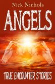 Angels--True Encounter Stories (eBook, ePUB)
