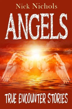 Cover Angels--True Encounter Stories (eBook, ePUB)