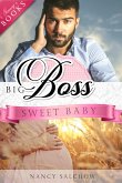 Big Boss, Sweet Baby (eBook, ePUB)